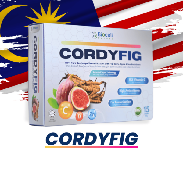 Cordyfig 3 Kotak